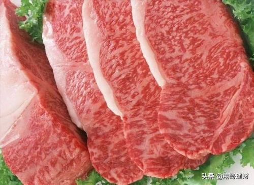 肉制品行业龙头企业财报分析与投资价值评估